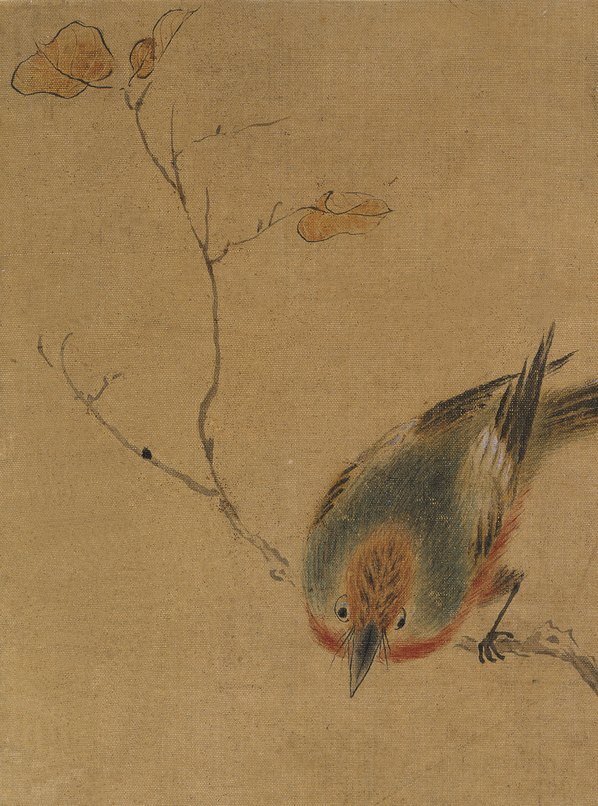 清_恽寿平_花鸟草虫图八_(3200×4314 – 400dpi)(图2)