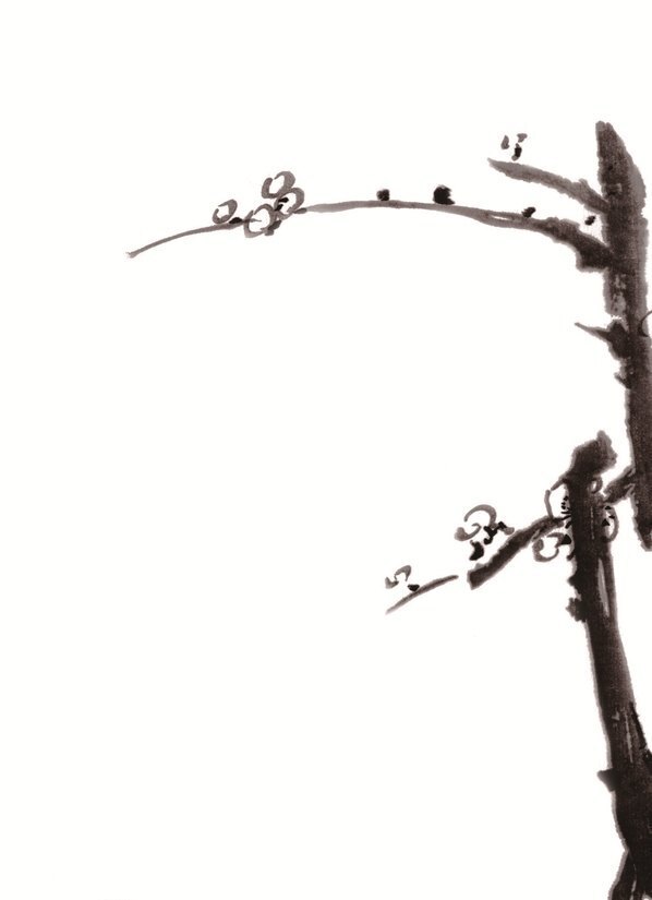 清_荣宝斋_精品_AH_清_石涛_双清图_(5354×7386 – 400dpi)(图2)