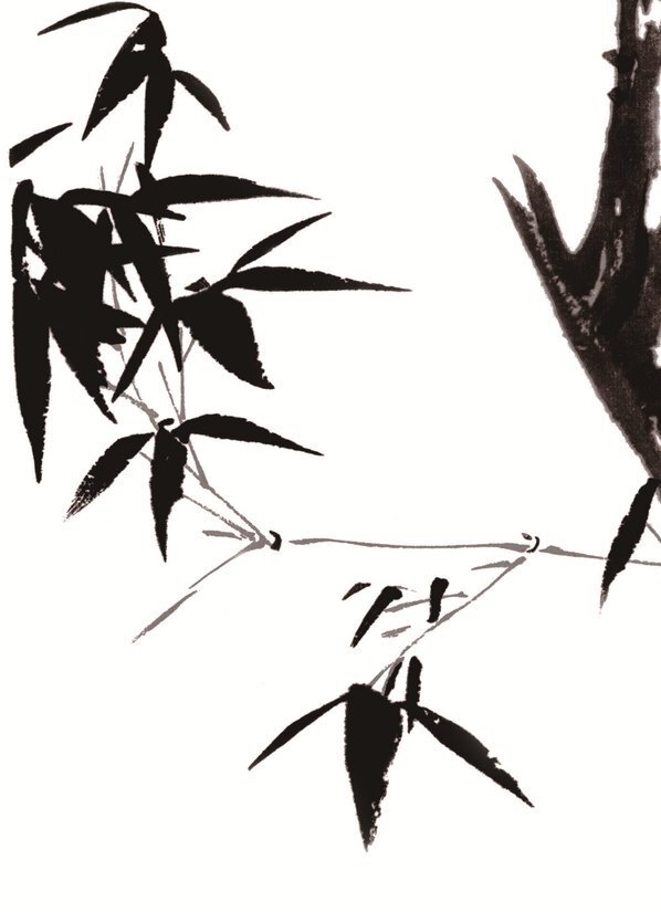 清_荣宝斋_精品_AH_清_石涛_双清图_(5354×7386 – 400dpi)(图4)