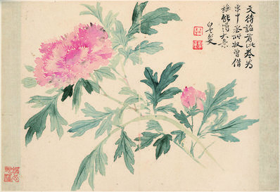 清_恽寿平_花卉十开_牡丹图_纸本_(3912×2680 – 300dpi)(图1)
