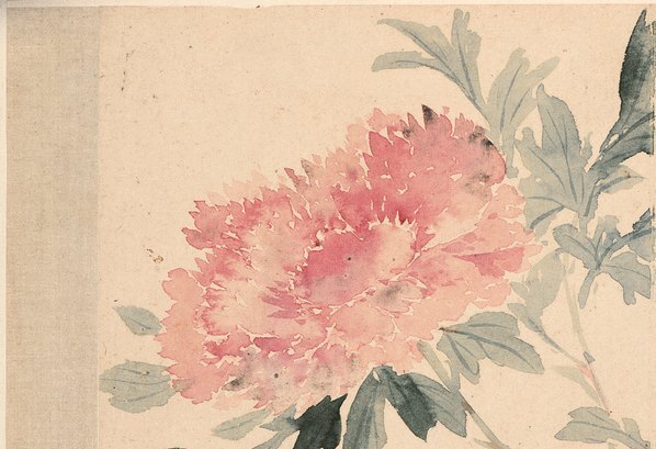 清_恽寿平_花卉十开_牡丹图_纸本_(3912×2680 – 300dpi)(图2)