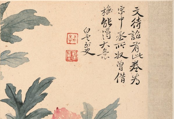 清_恽寿平_花卉十开_牡丹图_纸本_(3912×2680 – 300dpi)(图3)