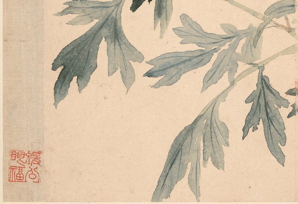 清_恽寿平_花卉十开_牡丹图_纸本_(3912×2680 – 300dpi)(图4)