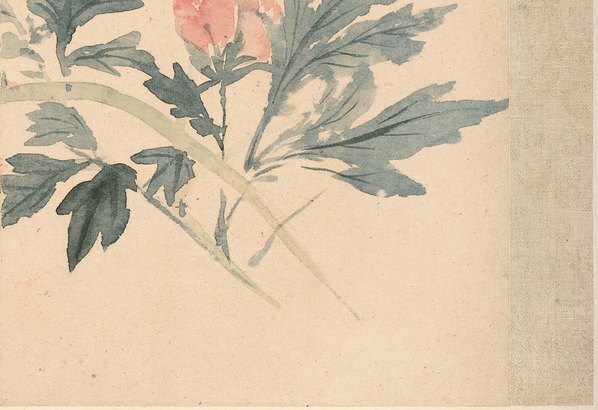 清_恽寿平_花卉十开_牡丹图_纸本_(3912×2680 – 300dpi)(图5)