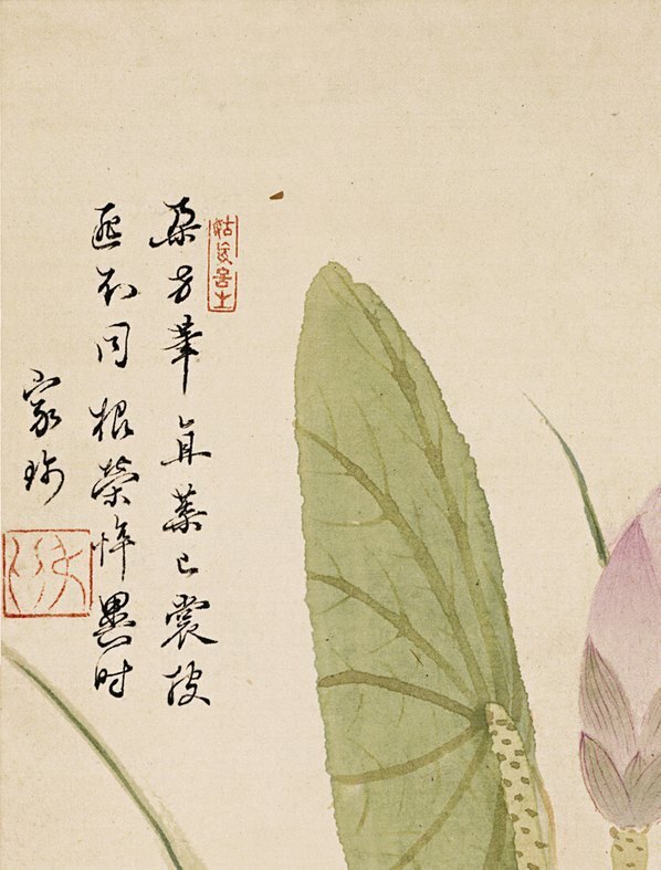 明_项圣漠_花卉_1_(3792×4989 – 350dpi)(图2)