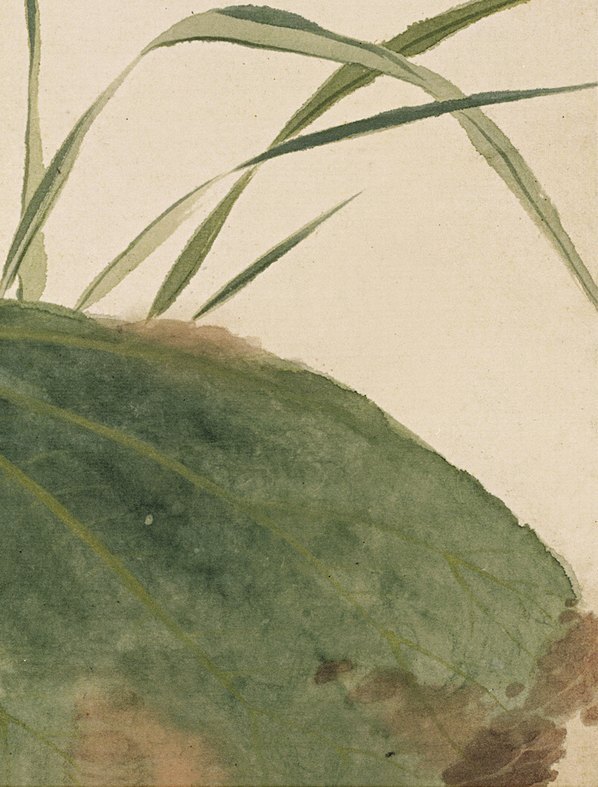 明_项圣漠_花卉_1_(3792×4989 – 350dpi)(图5)