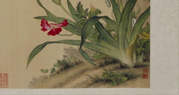 清_郎世宁_花鸟图册_18_(6541×3500 – 300dpi)(图5)