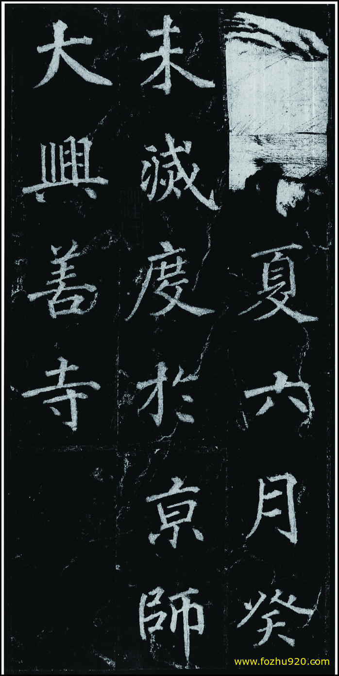 书法拓片_隋唐_徐浩_不空和尚碑42_11（宽高1907×3810 – 300dpi)）(图1)