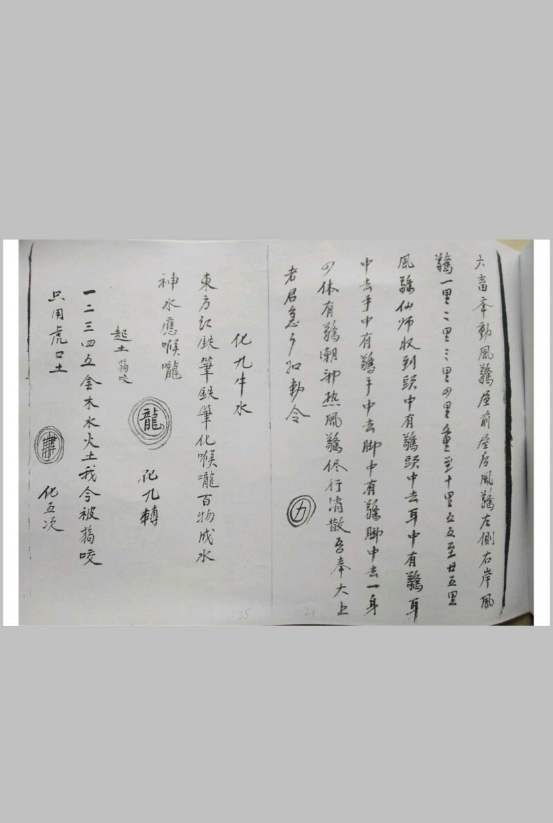 地理杨公神咒秘诀(图5)