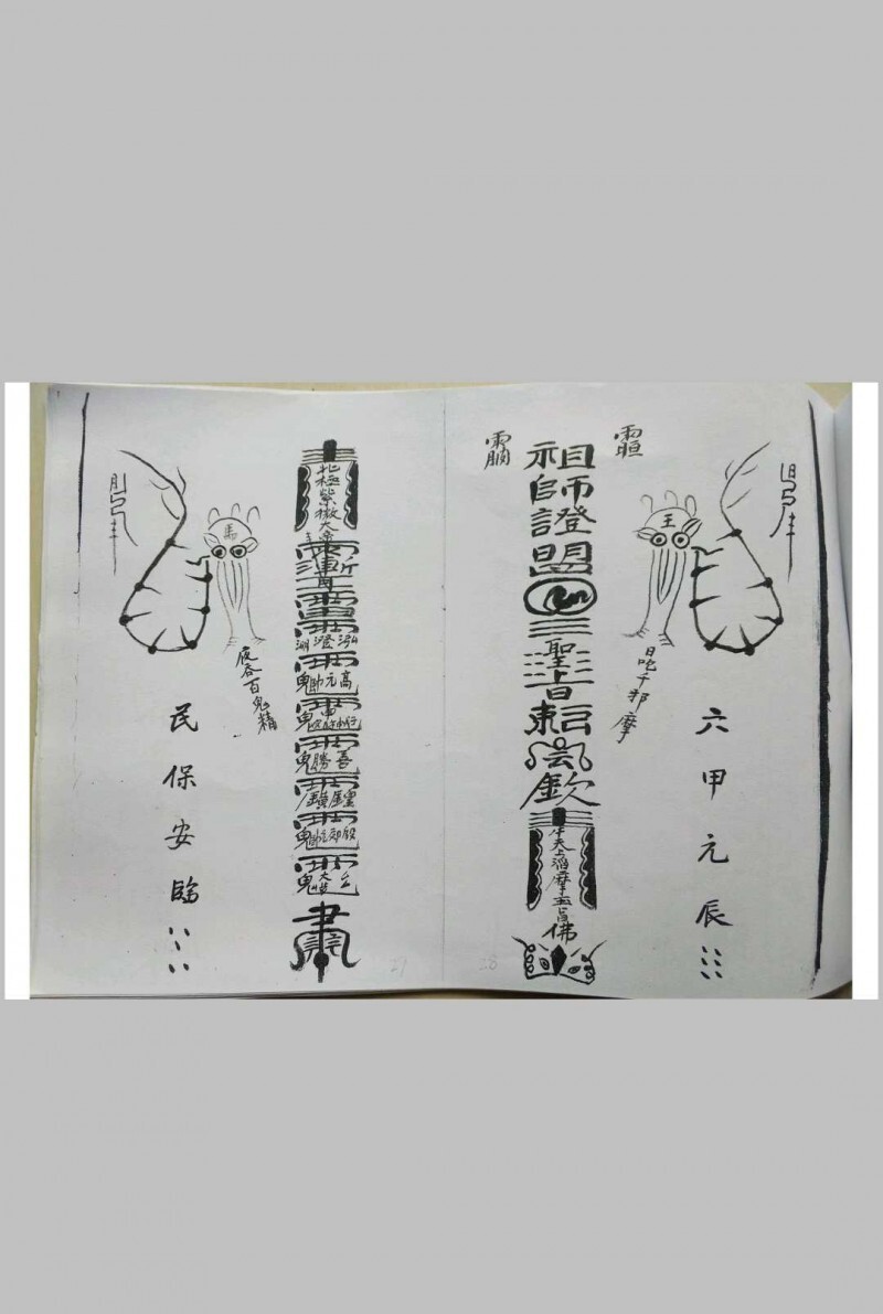 地理杨公神咒秘诀(图7)