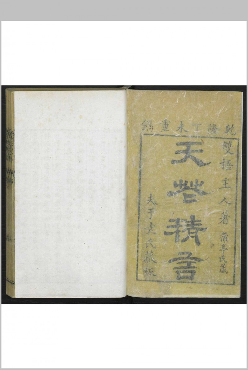 天花精言  六卷 袁句著(图1)