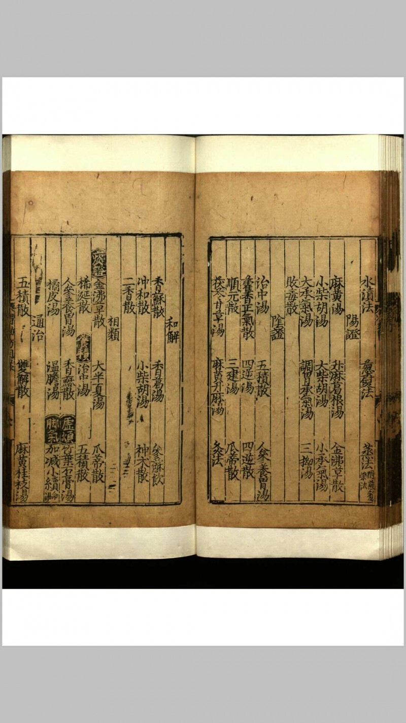 世医得效方  二十卷(图4)