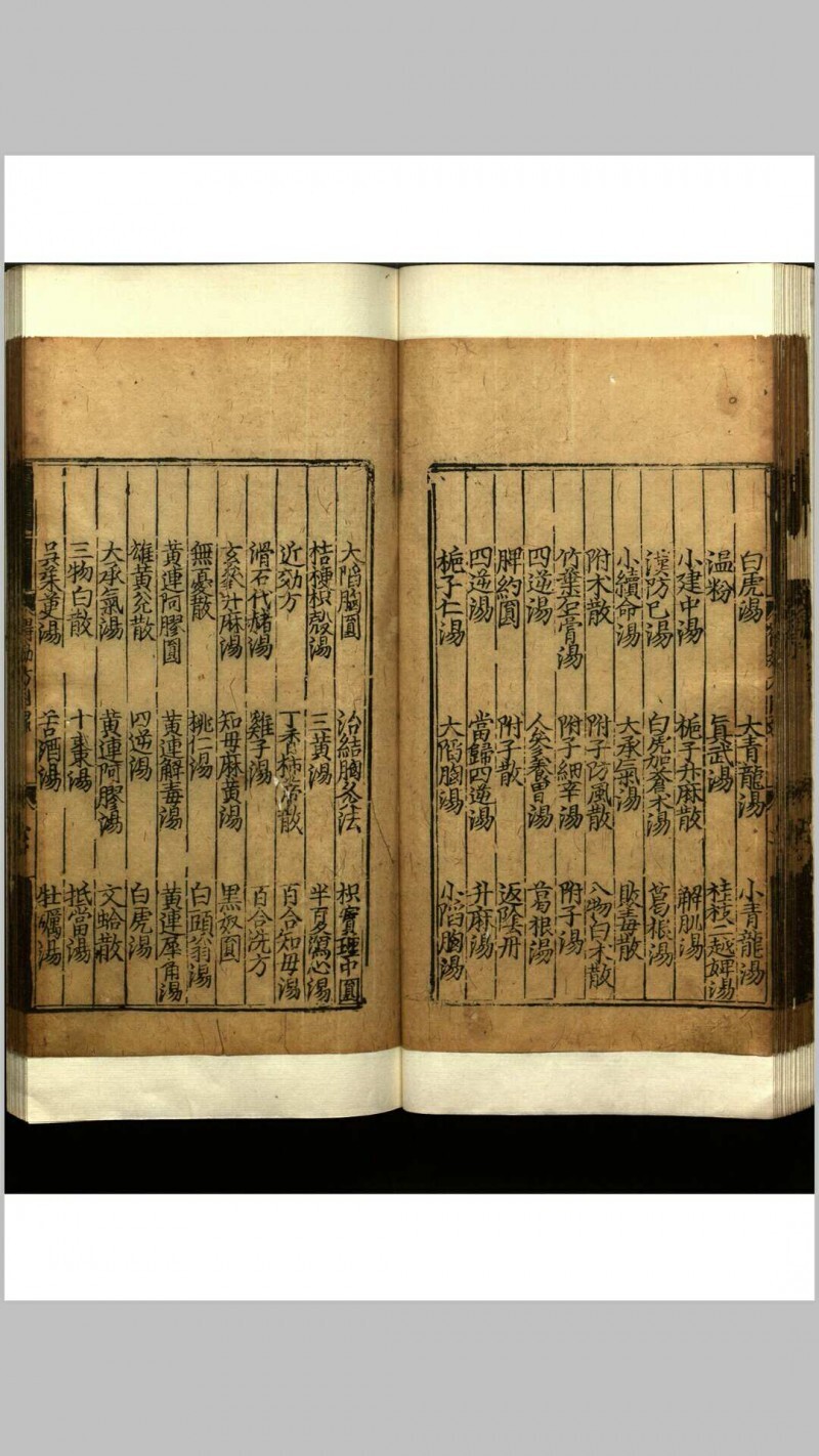 世医得效方  二十卷(图5)