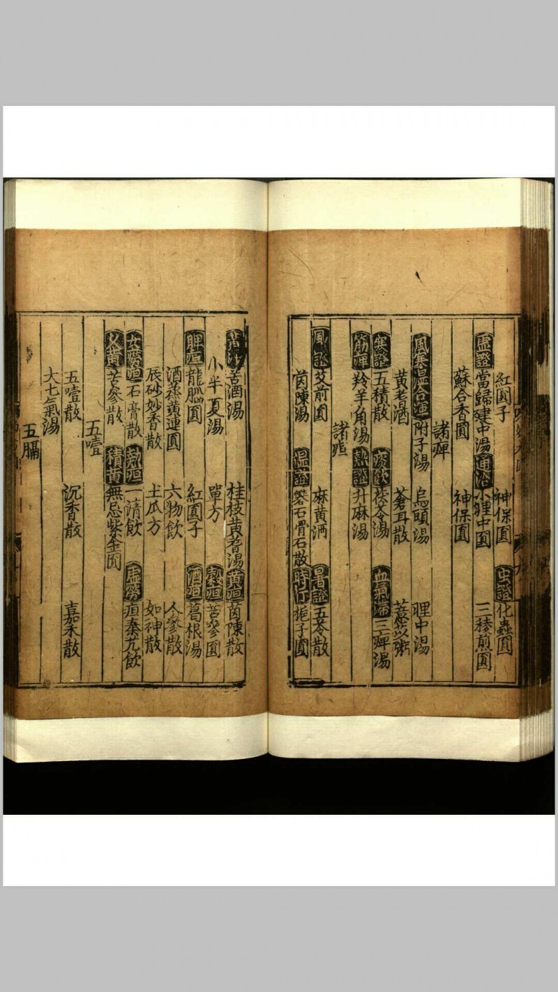 世医得效方  二十卷(图8)