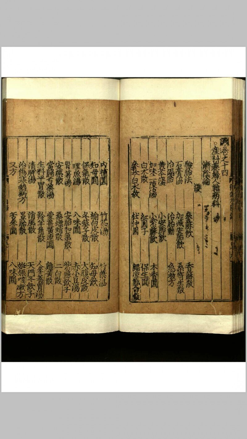 世医得效方  二十卷(图13)
