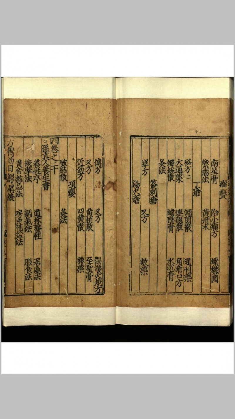 世医得效方  二十卷(图15)