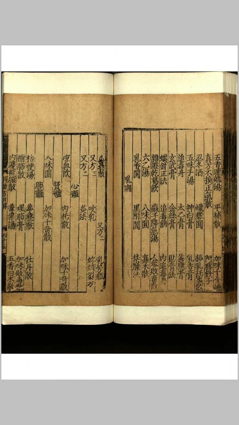 世医得效方  二十卷(图16)