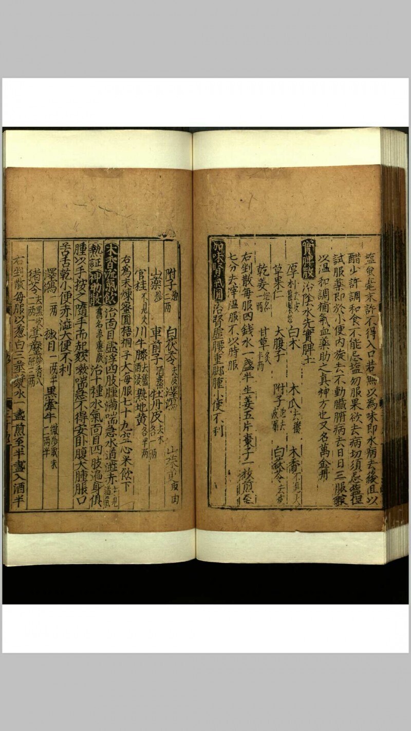 世医得效方  二十卷(图18)