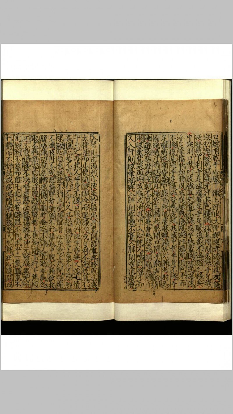 世医得效方  二十卷(图20)