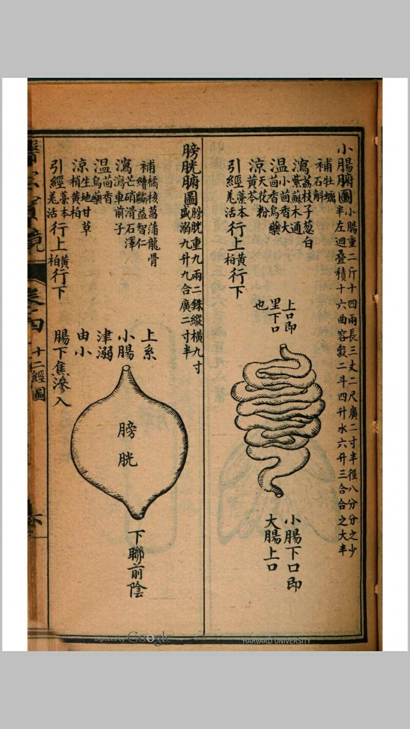 医宗宝镜  四卷(图10)