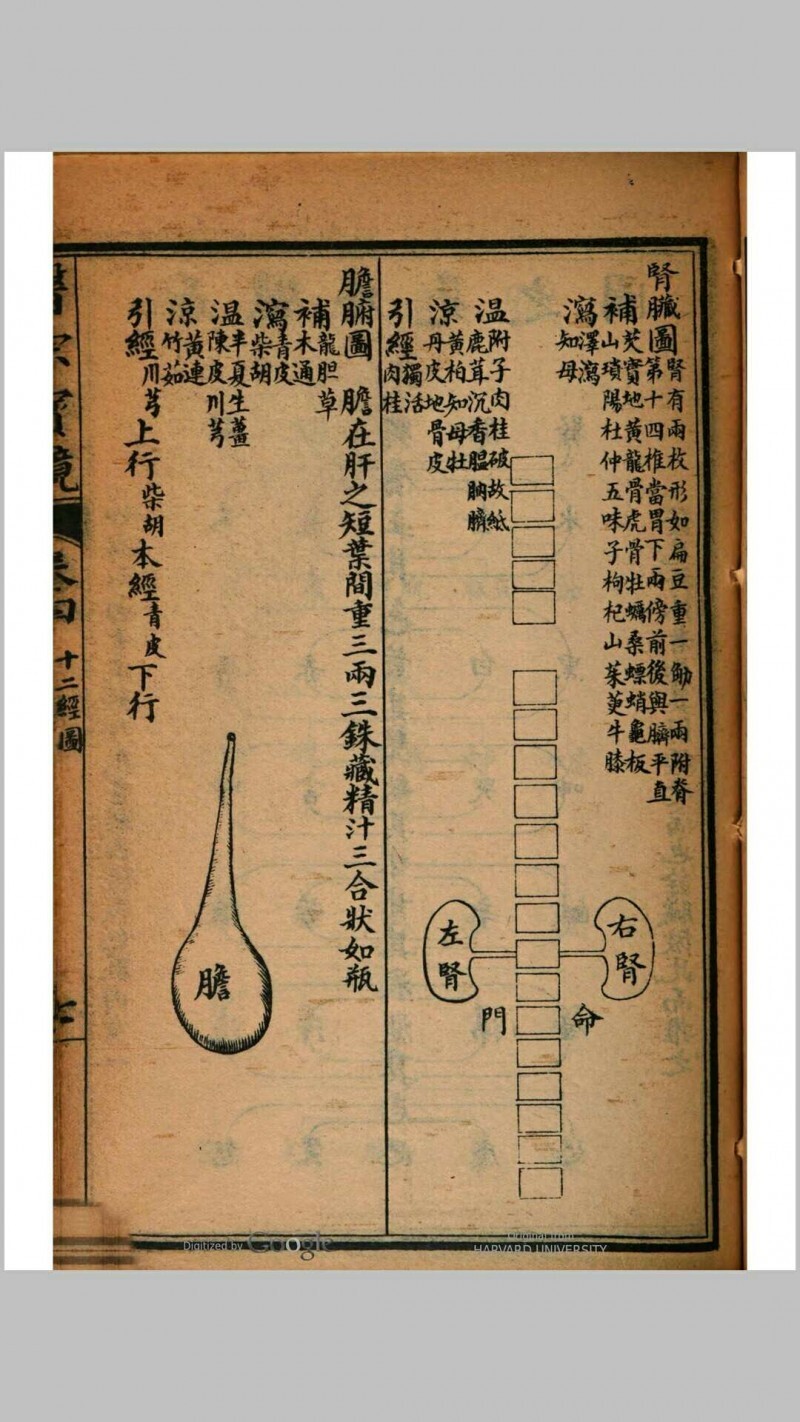 医宗宝镜  四卷(图14)