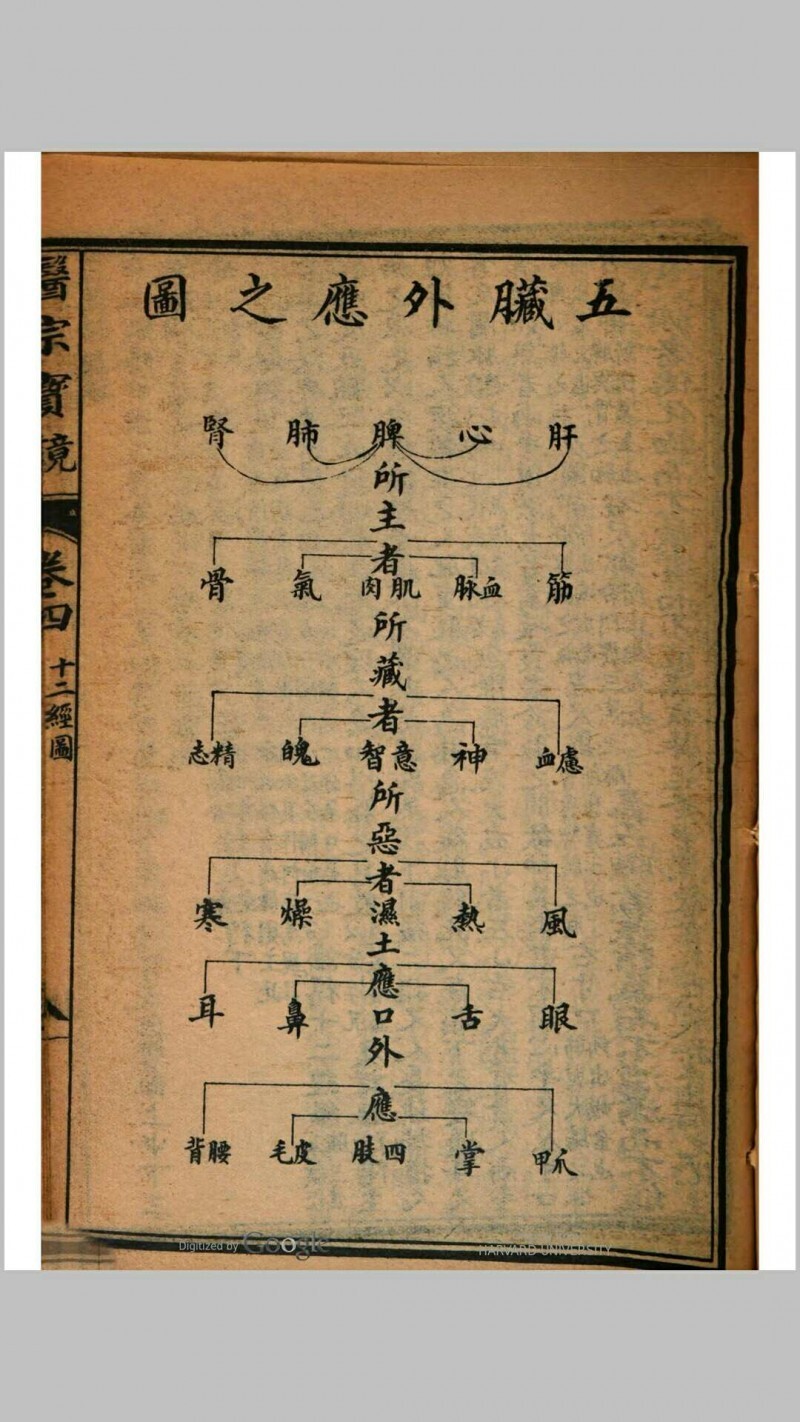 医宗宝镜  四卷(图15)