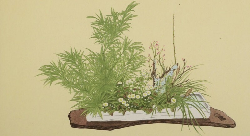 小原流盛花瓶华杰作选集(图1)