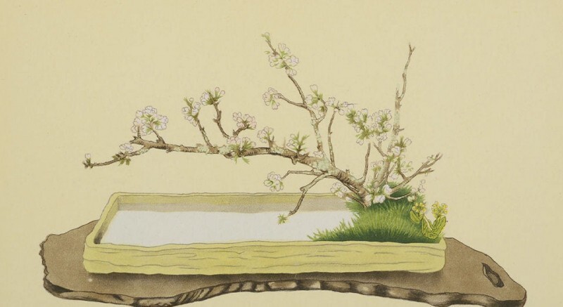 小原流盛花瓶华杰作选集(图2)