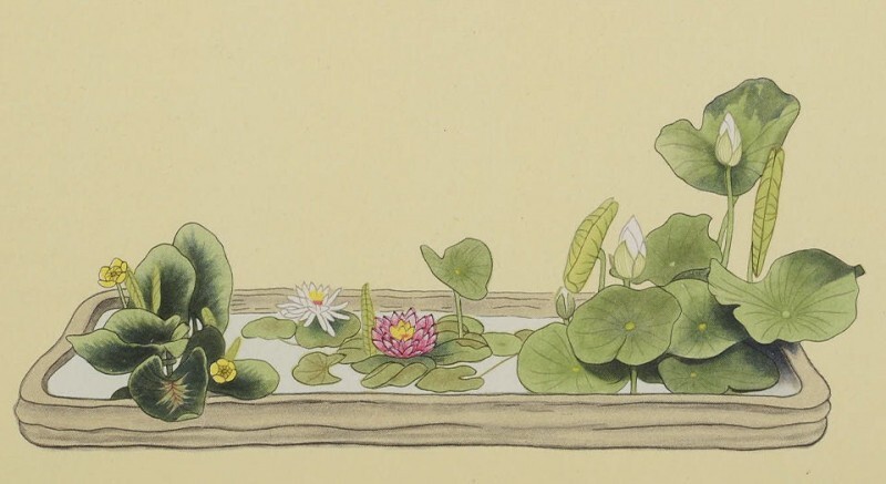 小原流盛花瓶华杰作选集(图3)