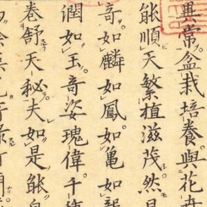 松葉蘭譜.松叶兰谱