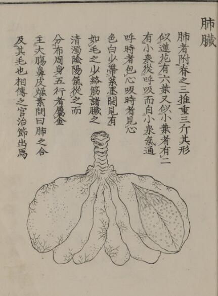 解体针要 1(图2)