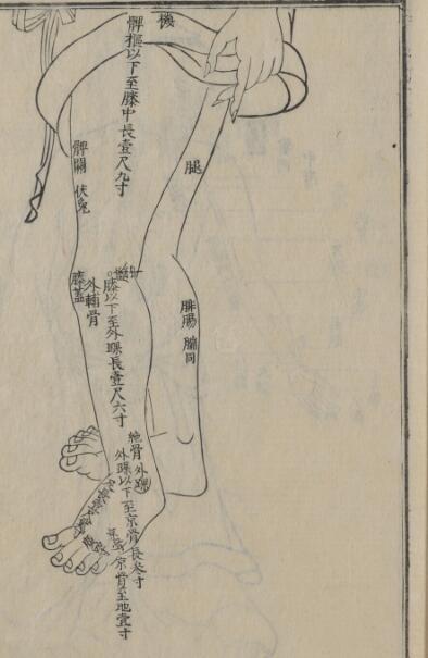 经脉图説 七册(元・亨・利・贞)(图3)