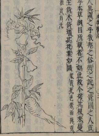 桑韩医谈 2巻(图2)