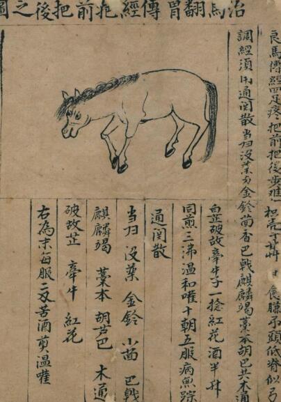 治马患书(图1)