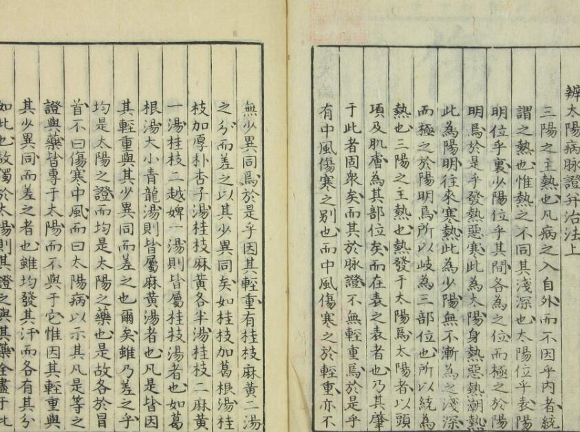 伤寒辩证（1-6卷）中医古籍(图2)