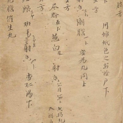 手抄医书11