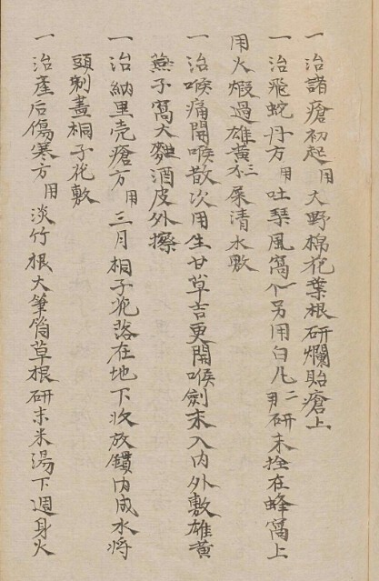 民间单方手抄本(图2)