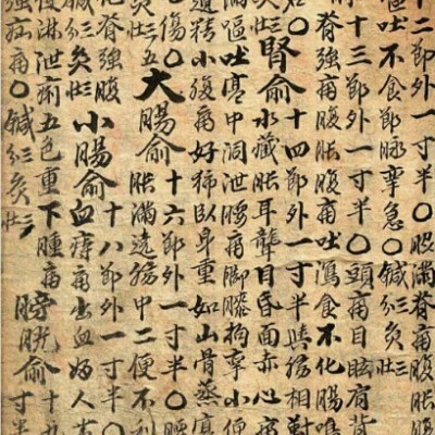 穴处治法 中医，医学类书籍。43m 114页