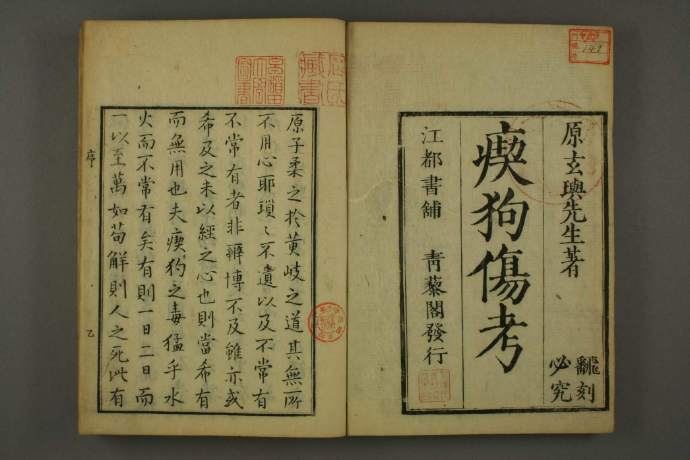 吃狗伤考  中医古籍(图2)