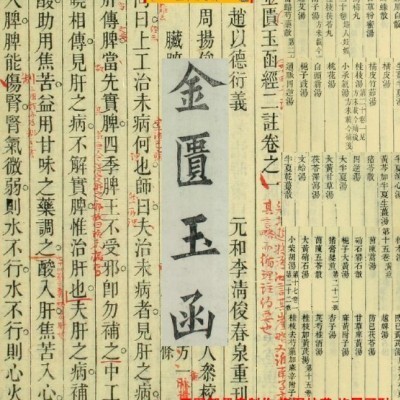 中医古籍 金匮玉函经（1-20卷）