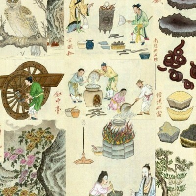 【古籍Y】明女画家文俶绘中医炼丹金石动植物图谱1400幅万历45年