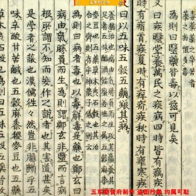 【古籍中医】江户古本中医史论著医事古言（嘉庆10年古本）