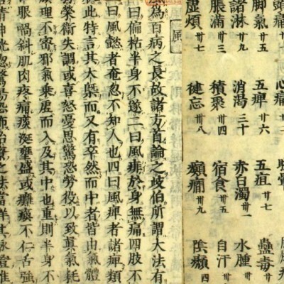 中医理论论著集医方大成论（康熙27年古本）