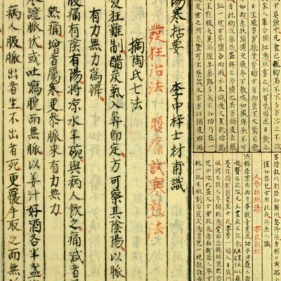 【古籍中医】日本中医医案药方集医典集抄 （清代古本）
