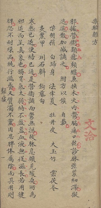 文洽 杂症医镜  中医古籍(图2)