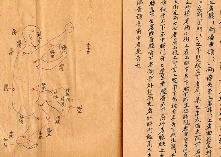中医古籍手抄 本专医跌打秘方(图2)