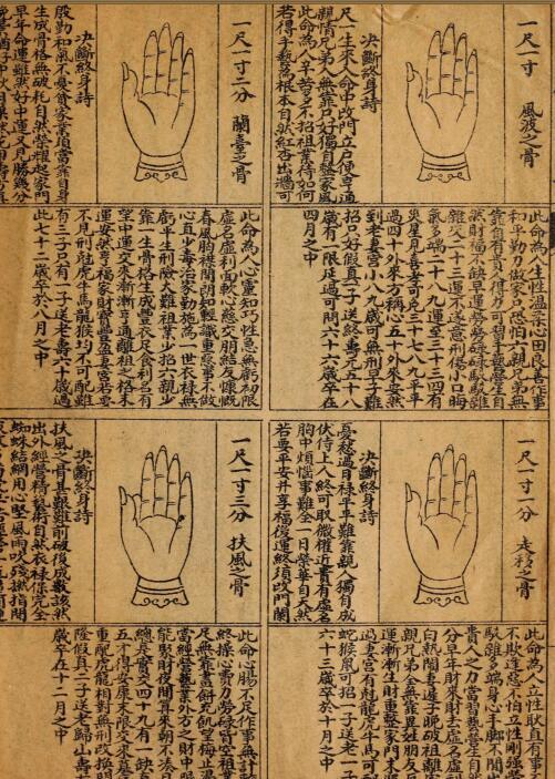 白鹤神数预测占卜古籍(图3)