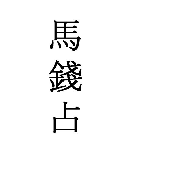 马前占 占卜古籍(图1)