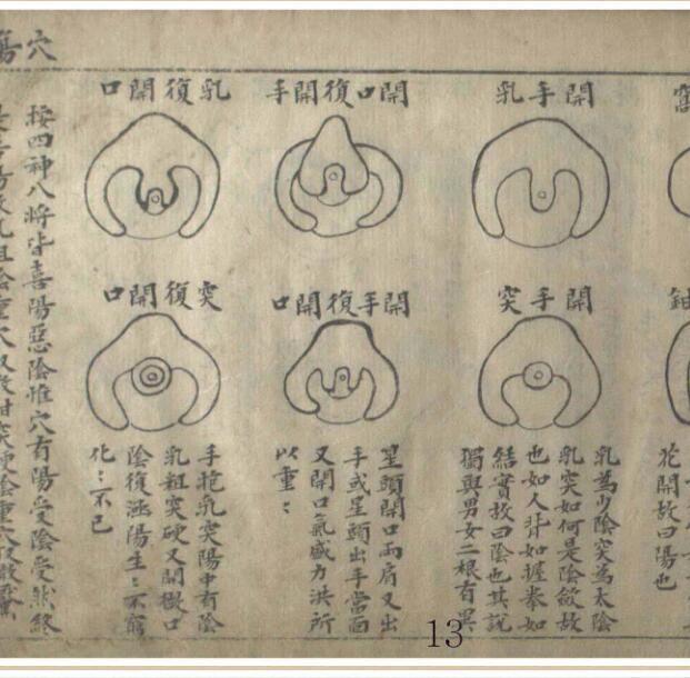 地学 韩藏 风水点穴古籍(图1)