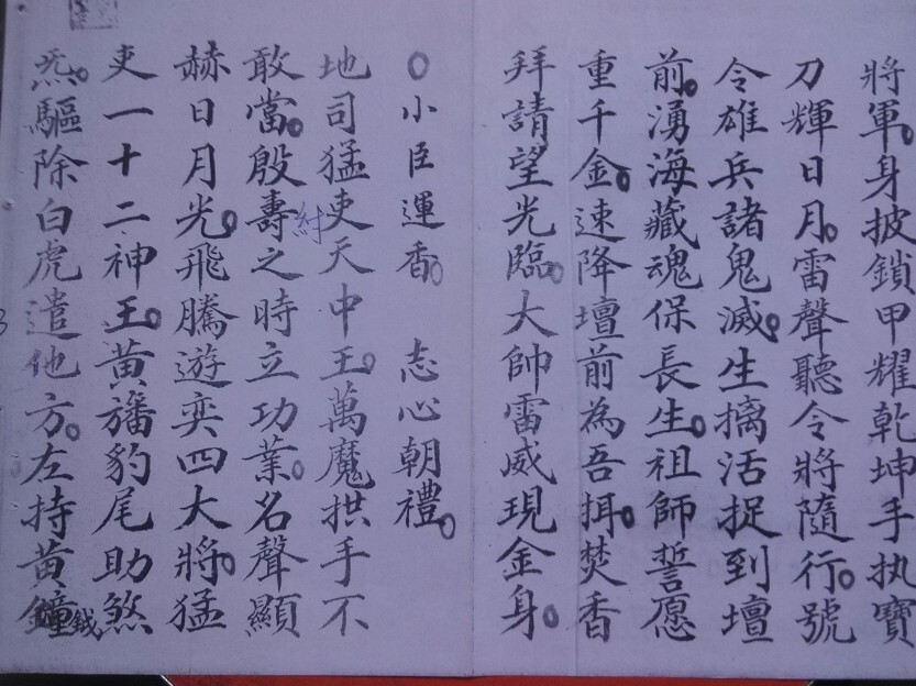 先天海禁玄秘符咒法本(图3)